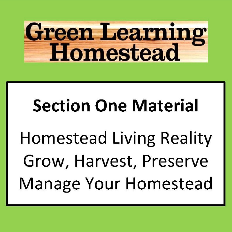 Section One Only