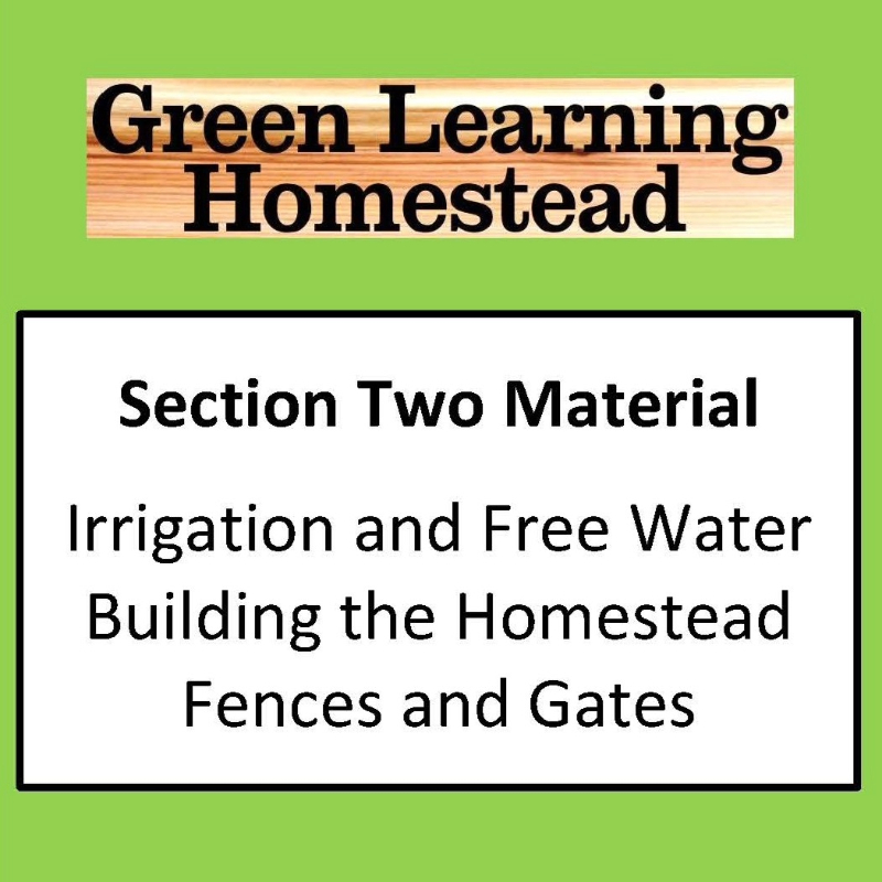 Section Two Only